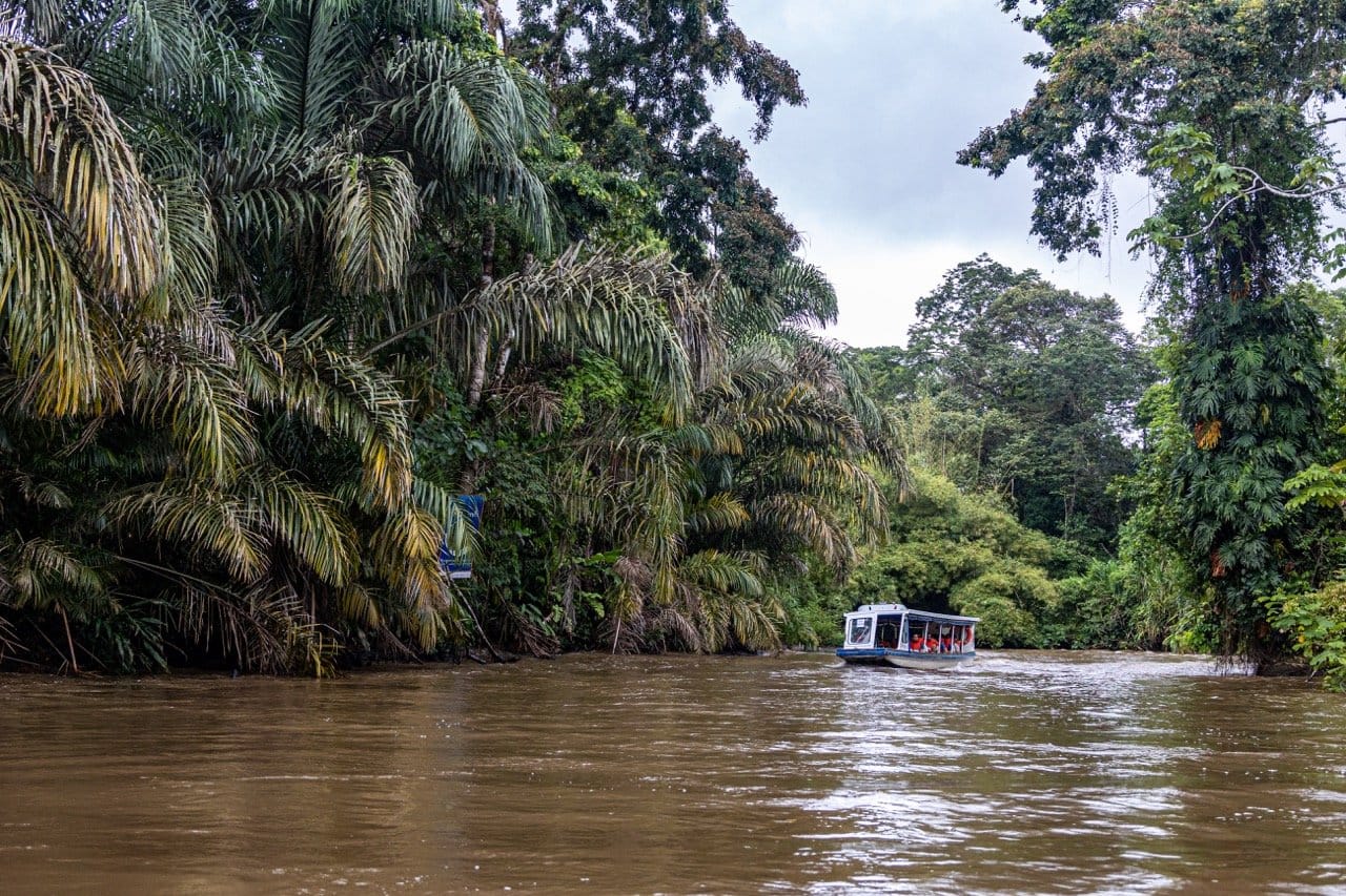 Tortuguero - Foto: Christian Rojo