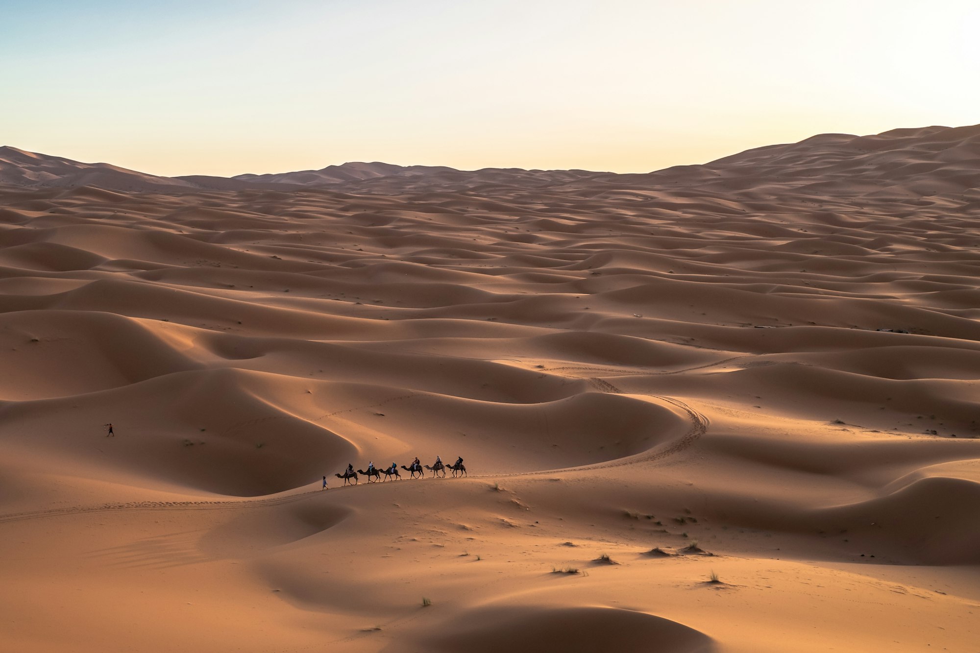 seis personas en camellos en el desierto