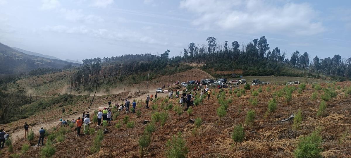 El mitin Princesa de Asturias a su paso por la zona reforestada.