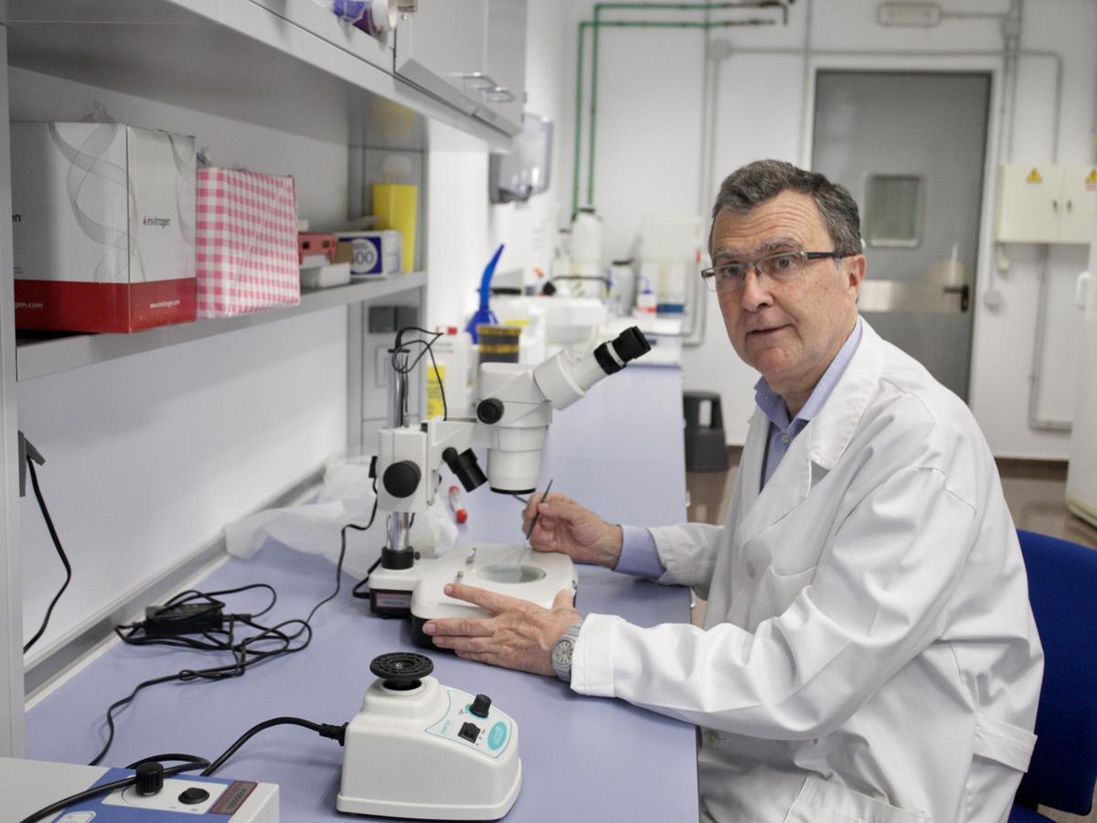 José Ballesta, doctor en Medicina y Cirugía y catedrático de Biología Celular de la Facultad de Medicina de la UMU