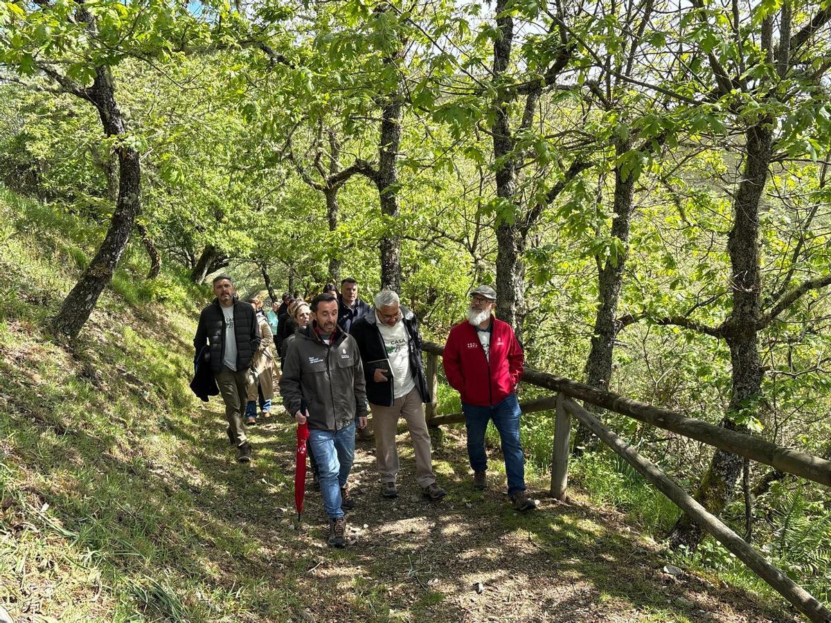 Recorrido por la ruta de los miradores en el "baño de bosque".