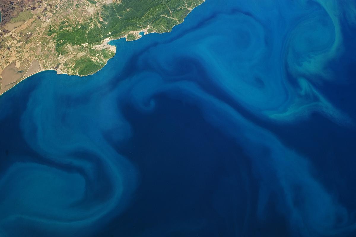 Imagen satelital de una floración de plancton en el mar.