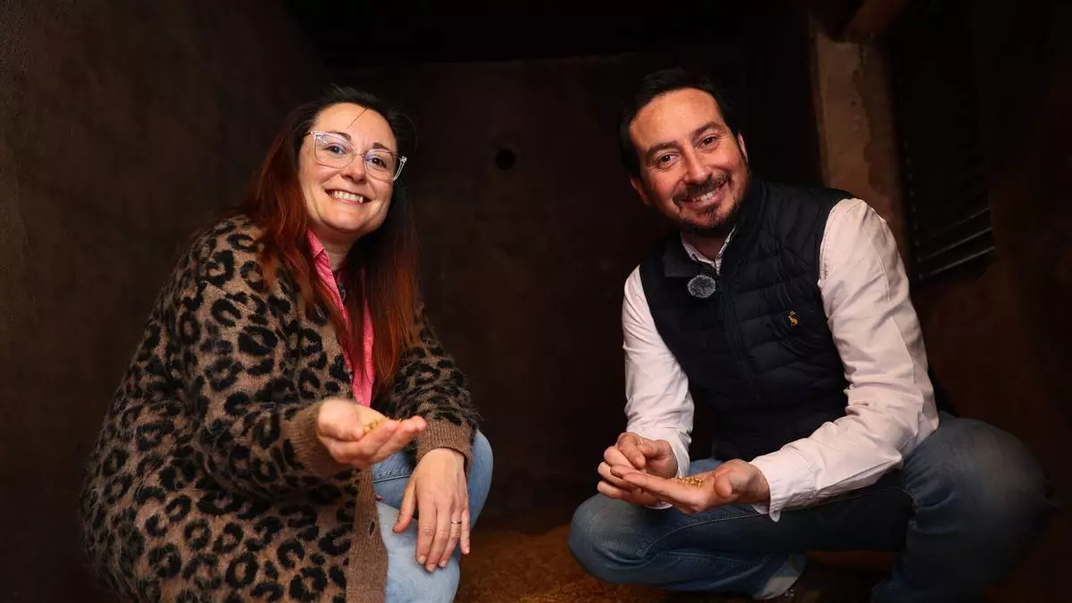 VÍDEO: Así es la Destilería Cantábrico en Las Regueras