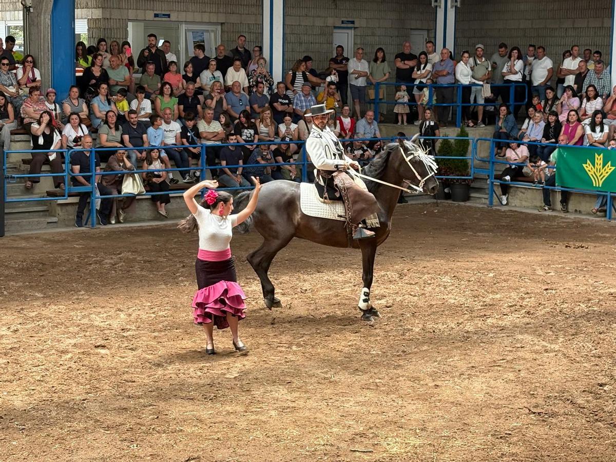 Espectáculo ecuestre en la feria de Narcenatur.