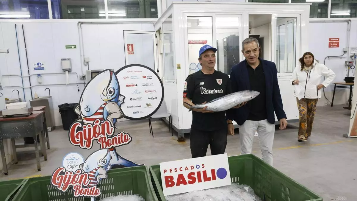 Arranca el mercado costero en Gijón: 2.217 kilos de bonito descargados en la lonja del Musel