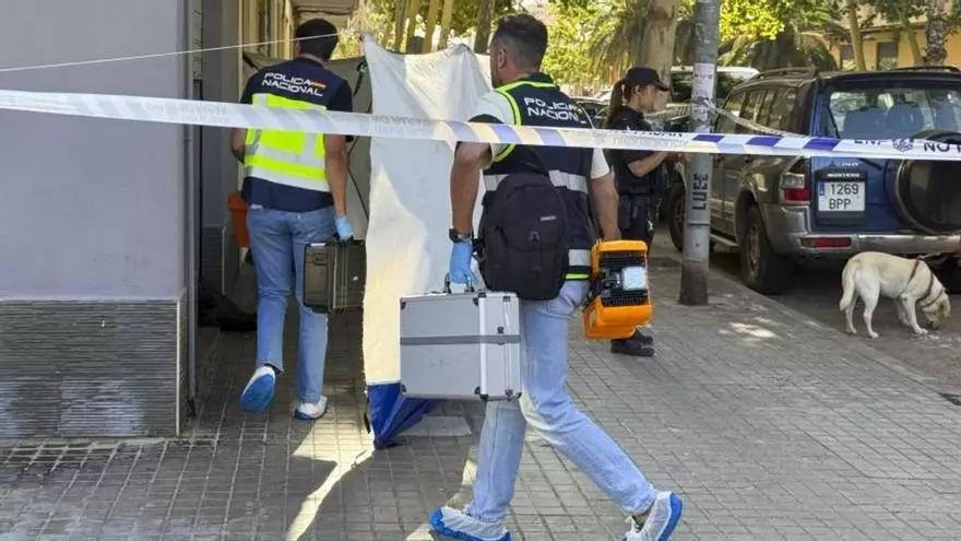 Prisión provisional para el joven que mató al logopeda de su hijo en Valencia