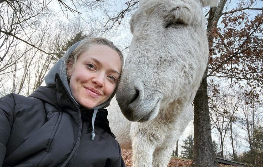 Amanda Seyfried en su granja