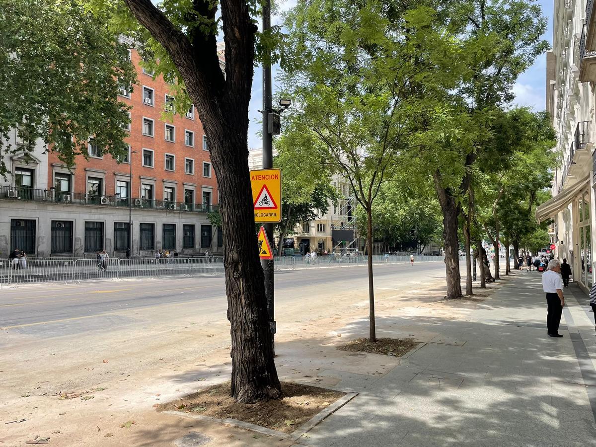 Imagen de la calle Alcalá en su tramo más cercano a la plaza de Cibeles, afectada por cortes de tráfico.