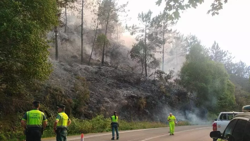 Incendio en la zona de Cabruñana, en Grado