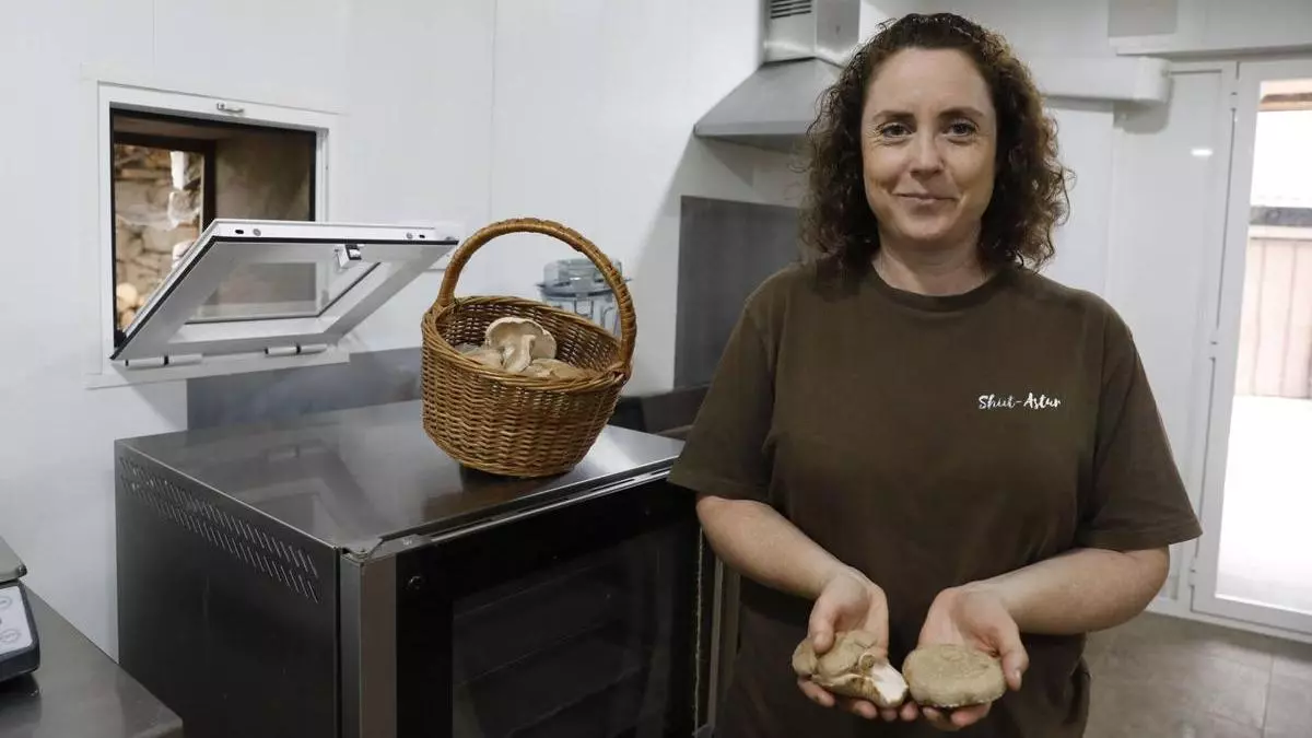 María Monge, una sevillana que ve futuro en el bosque asturiano con el cultivo de setas shiitake