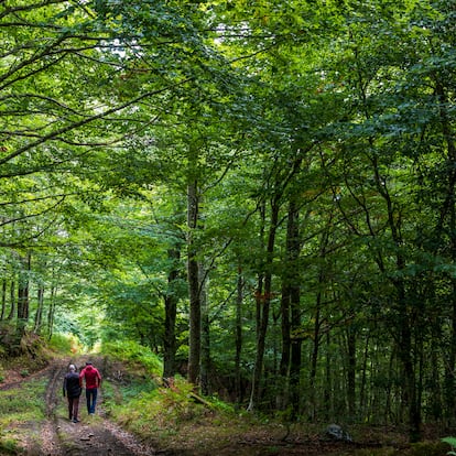Ponga, Asturias