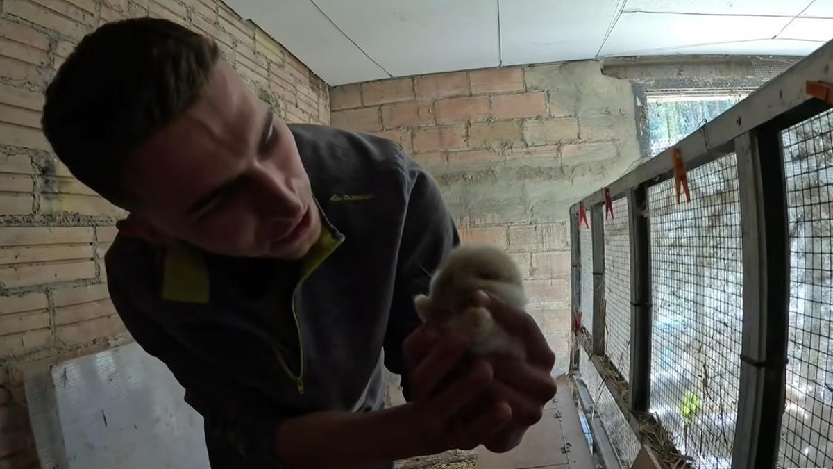 Arnau muestra su negocio de cría de conejos.