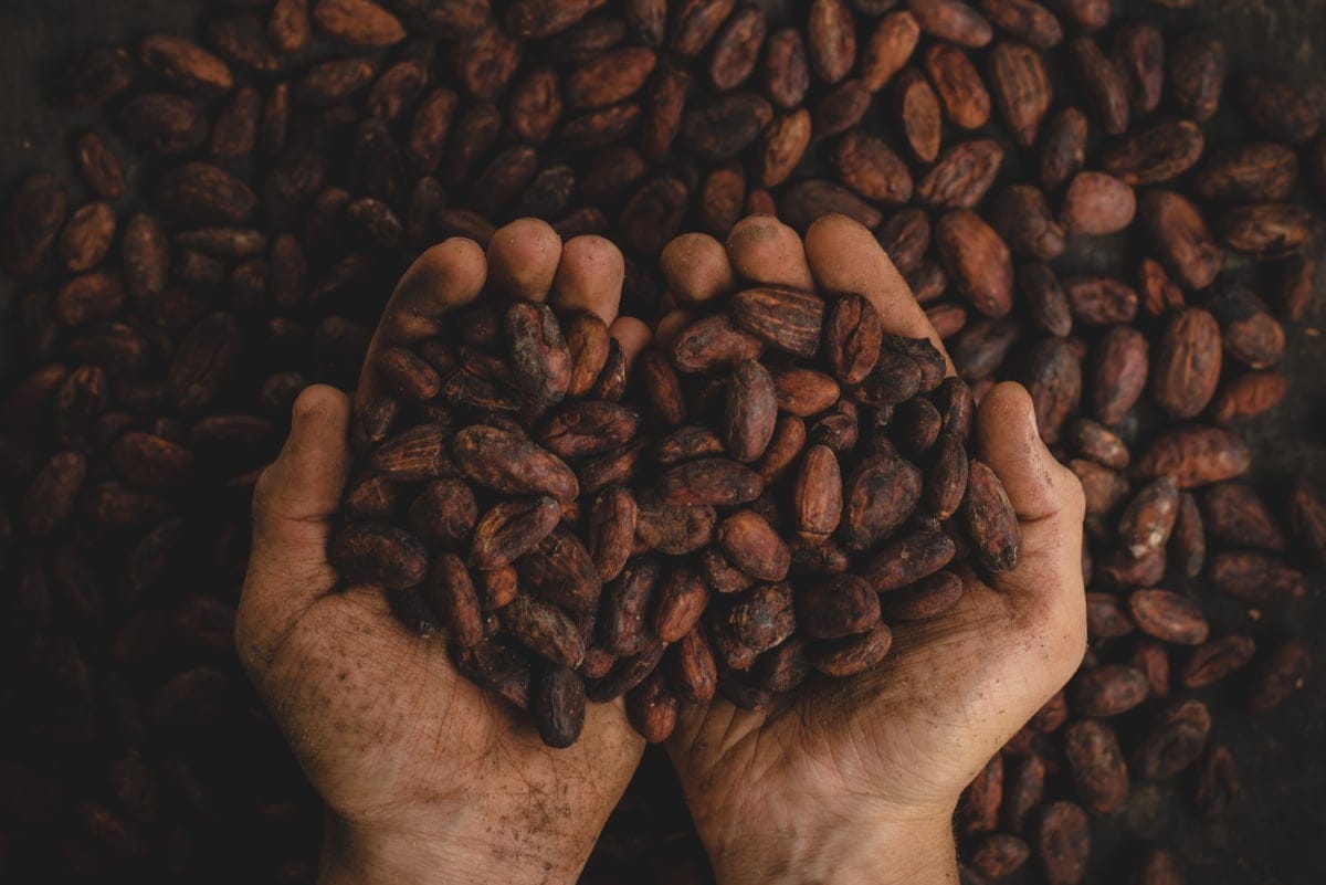 Países con el mejor café del mundo.