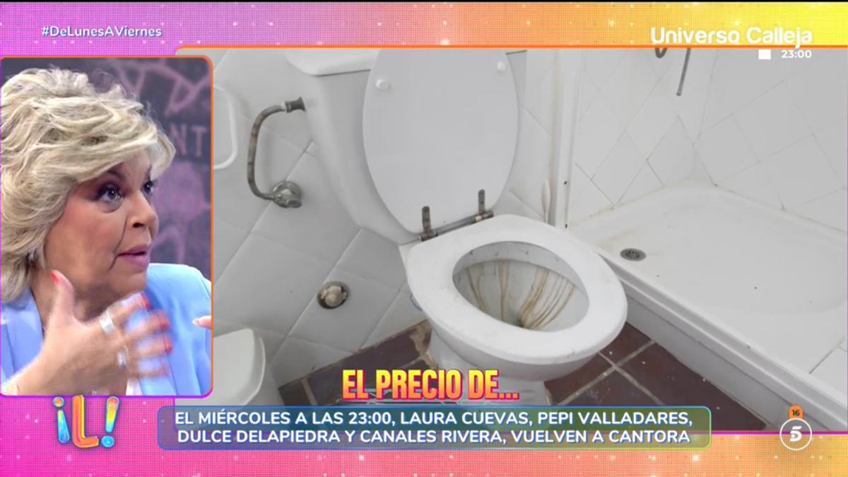 Baño del cantante