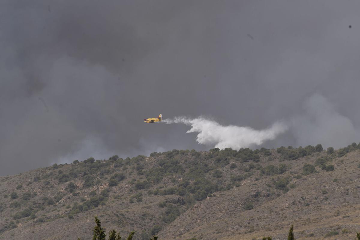 Incendio Los Gallardos, en imágenes