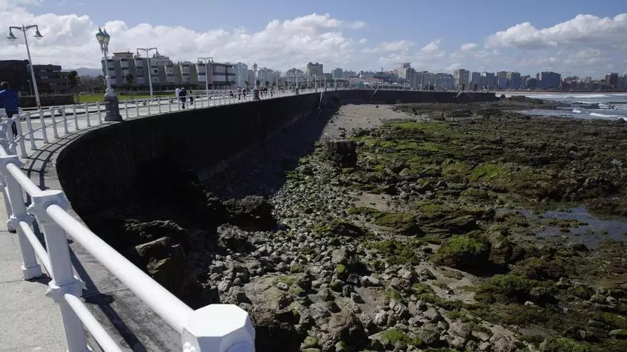 Un pulpo deja una curiosa escena entre las rocas de Rinconín